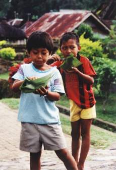 Reis aus dem Palmemblatt