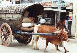 Transportwesen in Sri Lanka