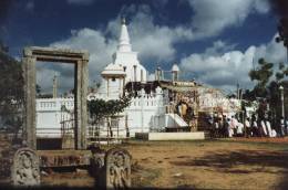 Koexistenz von Neubau und uralten Gem�uern - Die Thuparama Dagoba