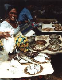 Fischmarkt mit Krebs, Garnelen, riesige Calamari usw.