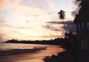 Sonnenuntergang in Unawatuna