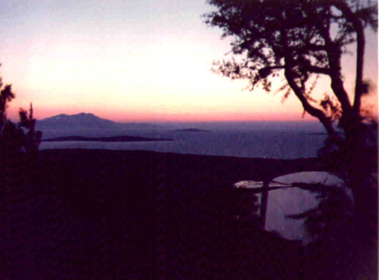 Raupen und K�fer auf dem Markt